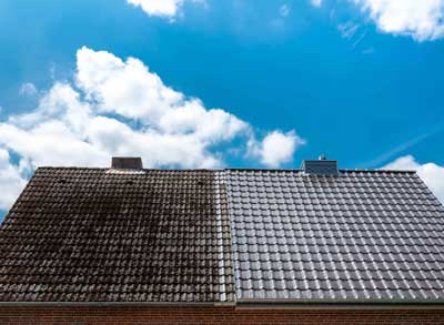 Roof Repairs Christchurch